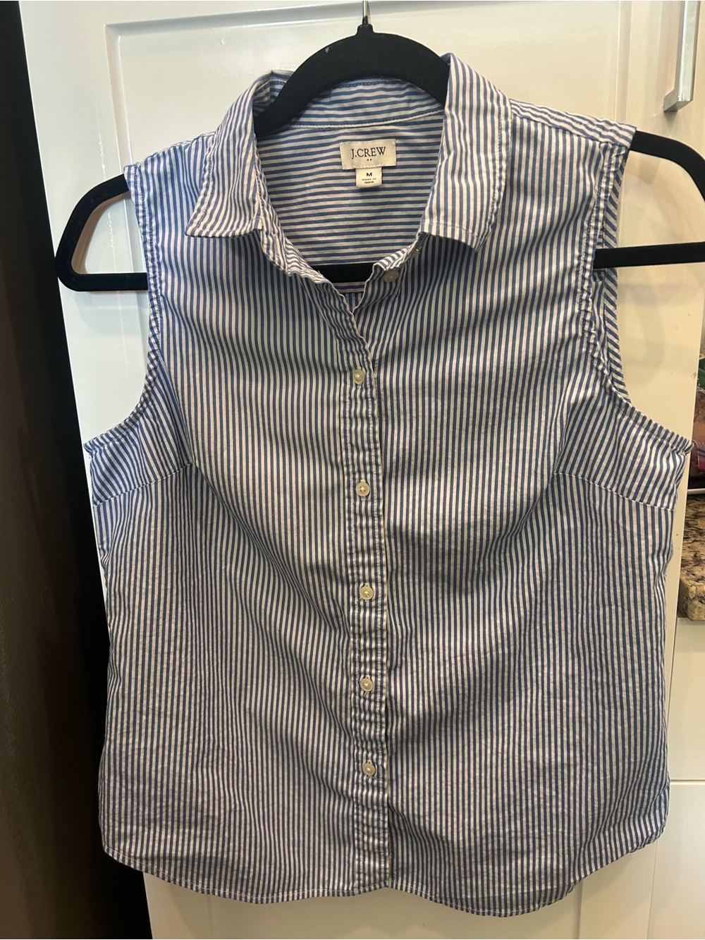J. Crew Blue and White Striped Sleeveless Button-Down Shirt